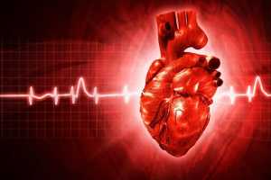 Verpleegkundig opleiding Cardiac Care verpleegkunde LUMC 15160615.JPG